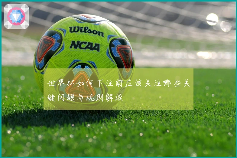 世界杯如何下注前应该关注哪些关键问题与规则解读