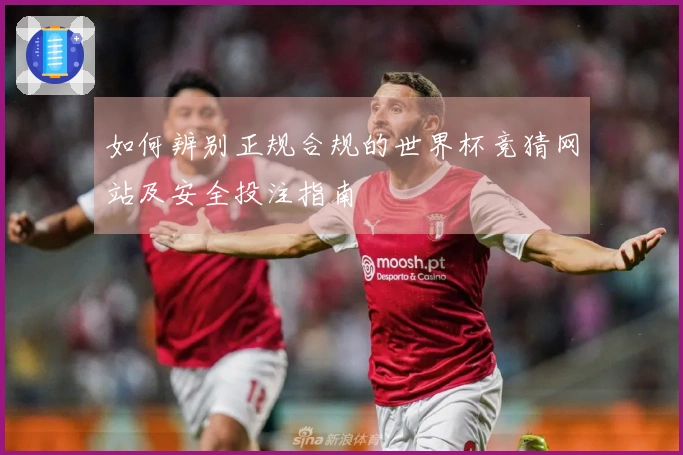 如何辨别正规合规的世界杯竞猜网站及安全投注指南