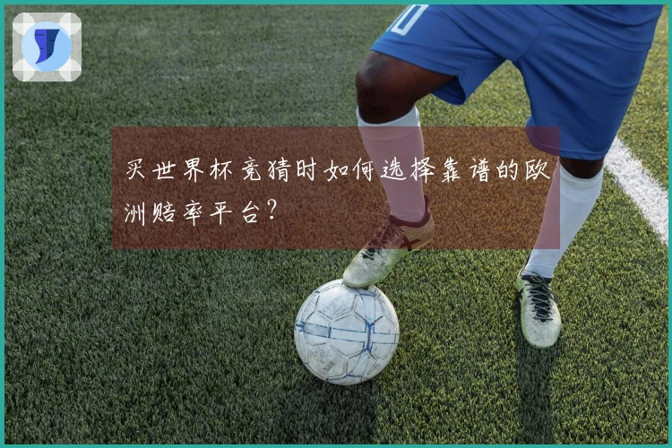 买世界杯竞猜时如何选择靠谱的欧洲赔率平台？