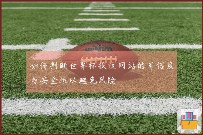 如何判断世界杯投注网站的可信度与安全性以避免风险