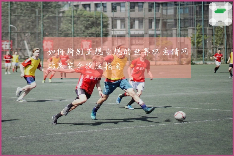 如何辨别正规合规的世界杯竞猜网站及安全投注指南