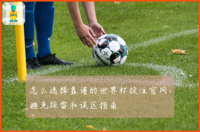 怎么选择靠谱的世界杯投注官网，避免踩雷和误区指南
