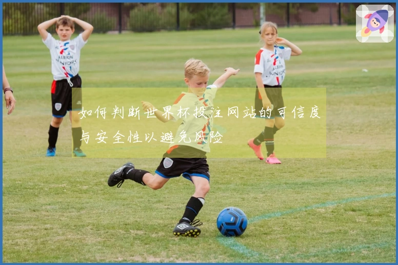 如何判断世界杯投注网站的可信度与安全性以避免风险